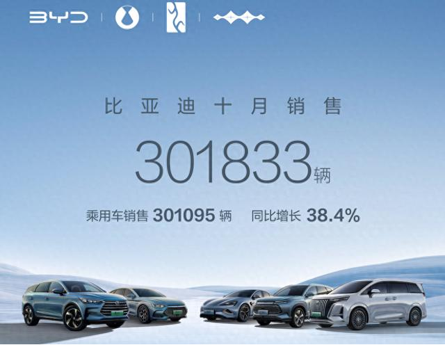 新能源车10月销量：自主狂奔，多家新势力创新高